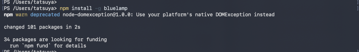 npm install -g bluelamp の実行結果