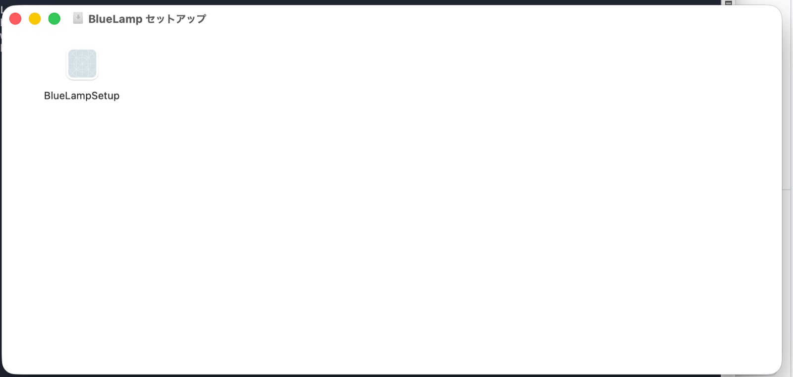 BlueLamp セットアップの窓。BlueLampSetup のアイコンが 1 つだけ入っている